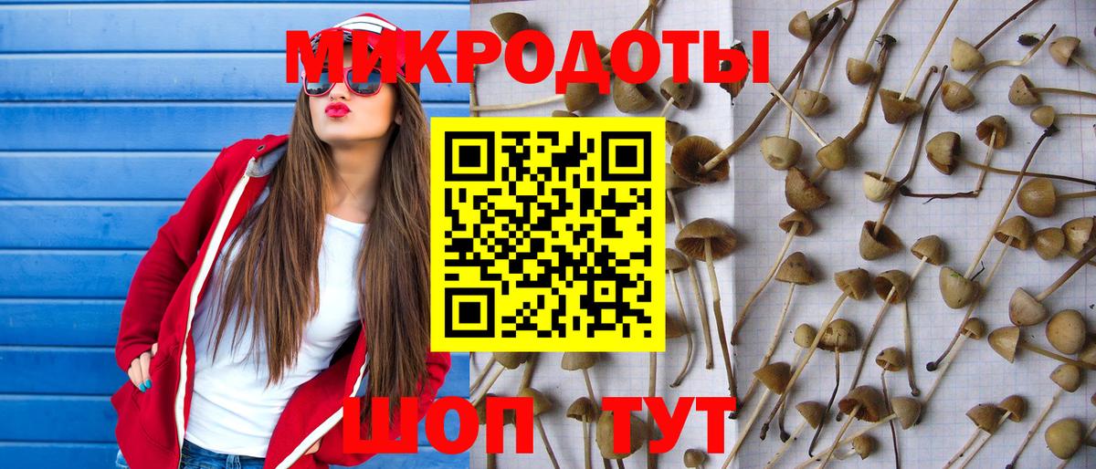 Галлюциногенные грибы Cubensis  Вход с VPN  Новочебоксарск  Галлюциногенные грибы Magic Shrooms 