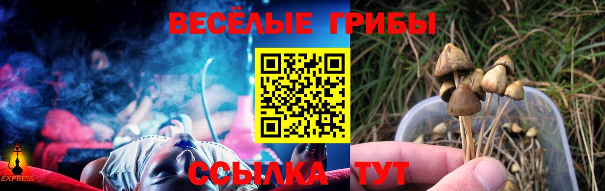 Галлюциногенные грибы Magic Shrooms Новочебоксарск